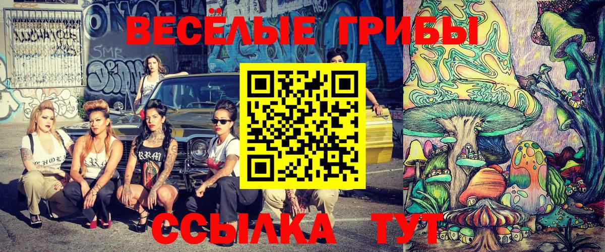 Галлюциногенные грибы Psilocybine cubensis  Вход с VPN  Алатырь 